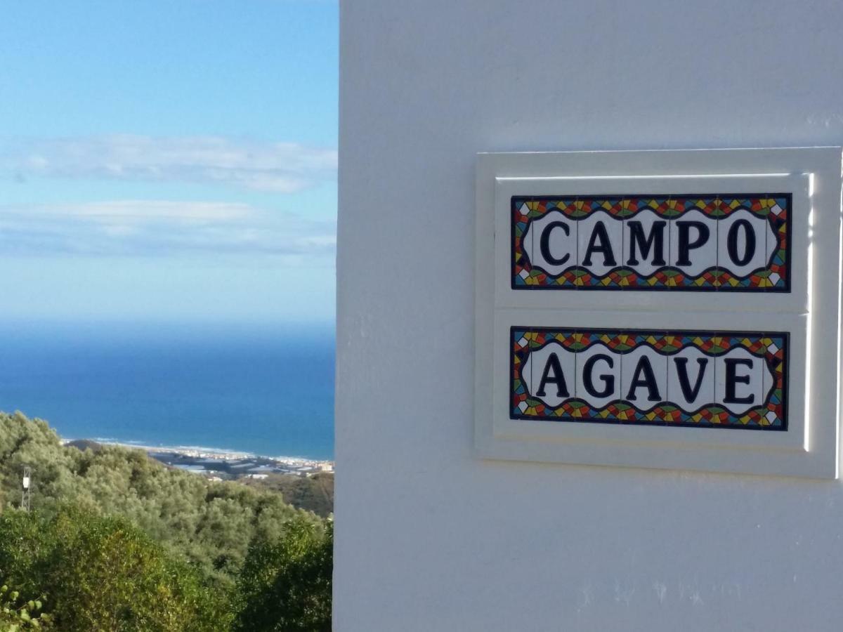 Campo Agave B&B Sayalonga ภายนอก รูปภาพ